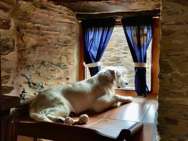Casa Rural Bierzo Encantado Valle de Finolledo Екстериор снимка